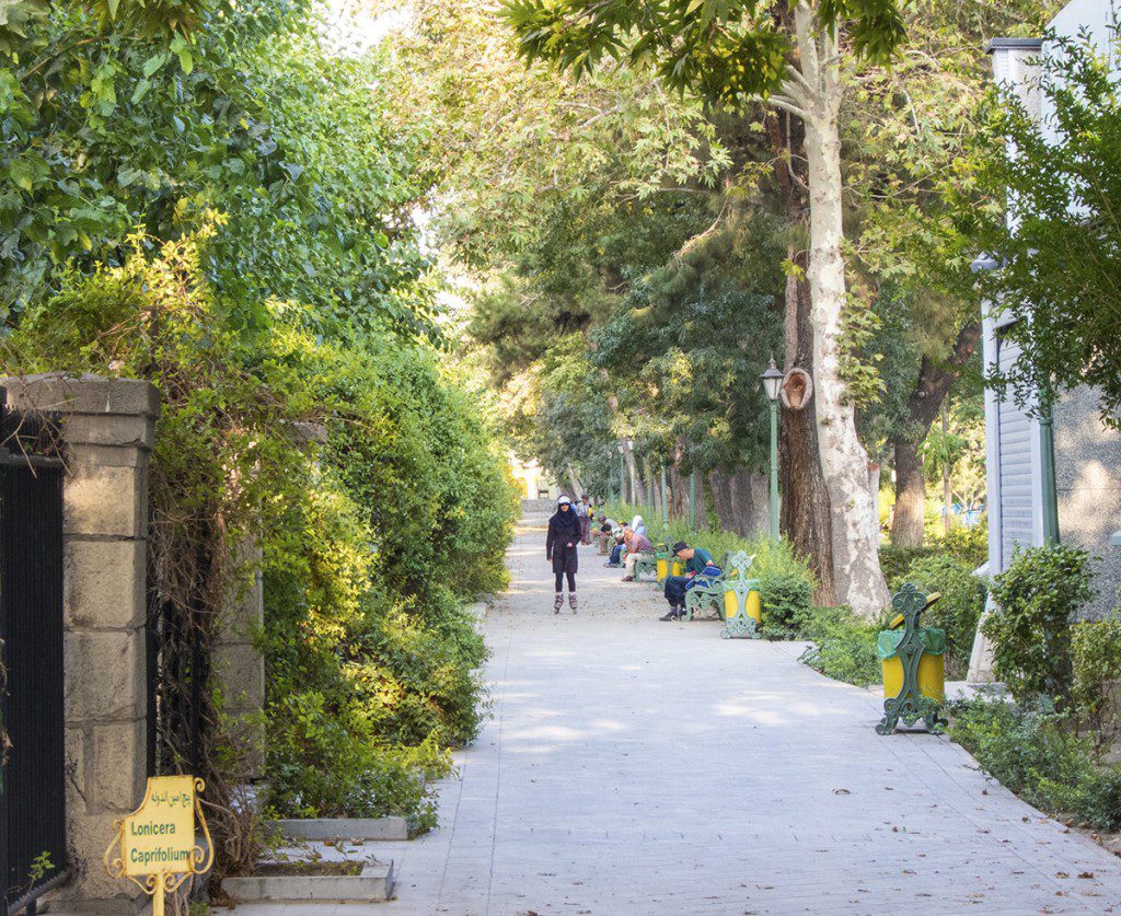 Rollerblading in Park-e-Shahr